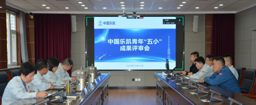 激揚(yáng)青春智造力！中國樂凱團(tuán)委召開青年“五小”成果評審會